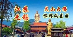 日本网站站操逼我吃江苏无锡灵山大佛旅游风景区
